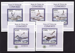 Коморы, 2009, Птицы, 5 люксблоков